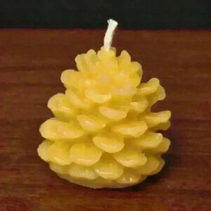 NWT  Blossom Hill Nursery Handmade Small Pinecone Beeswax Candle